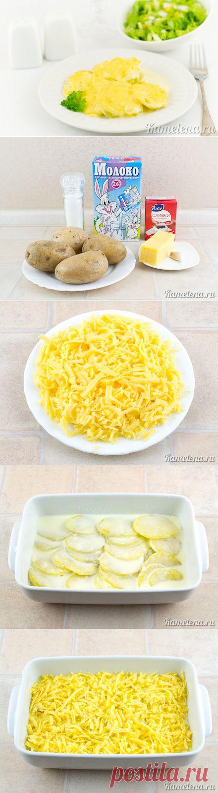 Картофельный гратен «Дофинуа» | Четыре вкуса