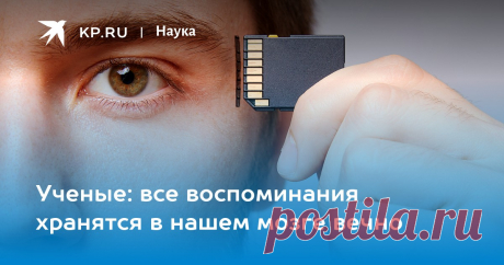 13-2-22-Ученые: все воспоминания хранятся в нашем мозге вечно Исследователи изучили, как работает естественный механизм забывания, и объяснили почему те или иные события “вылетают” у нас из головы
