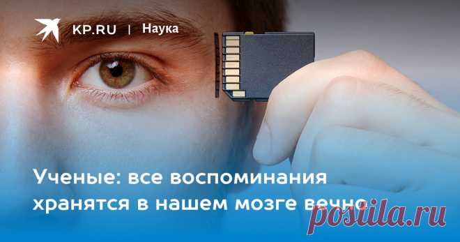 13-2-22-Ученые: все воспоминания хранятся в нашем мозге вечно Исследователи изучили, как работает естественный механизм забывания, и объяснили почему те или иные события “вылетают” у нас из головы