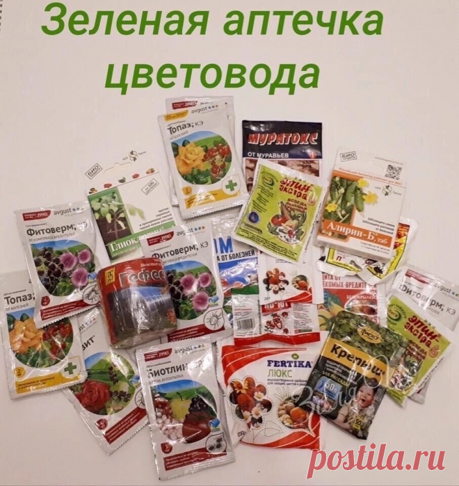 Зеленая аптечка цветовода ! Самые необходимые средства для садоводов. 
 
1. Актара и Конфидор против паутинного клеща, тли, колорадского жука. 
2. Семпай - против гусениц капустной белянки, листовёрток и пилильщиков. 
3. Раёк, Скор - против парши на яблони, рзавчины и мучнистой росы на цветах. 
4. Профит Голд, Ордан, Хом - против фитофтороза. 
5. Превикур, Триходерма - против фузариоза астр, корневых гнилей. 
6.Циркон - препарат улучшающий корнеобразование даже при стрессо...