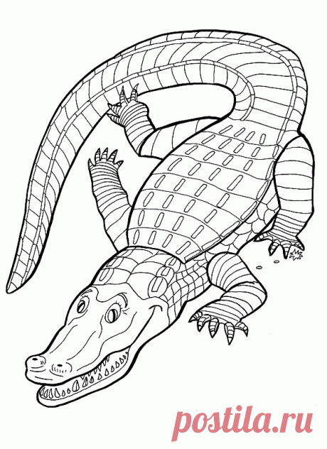 Крокодил раскраски распечатать