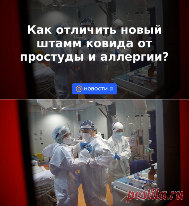 Как отличить новый штамм ковида от простуды и аллергии? | 26 апреля 2023 - Новости Mail.ru