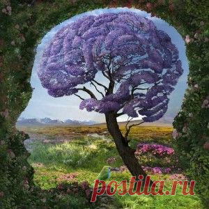 Удовольствие — лучшая мотивация или почему я хочу, но не могу? « Harmony of The Soul