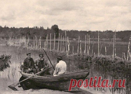 Рыболовный закол (забитые в дно водоёма колья) при впадении р. Волги в оз. Стерж. Тверская губерния, Российская империя. 1892 год. / История цивилизаций!