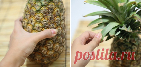 12 секретов от фермеров, чтобы выбрать спелые фрукты и ягоды