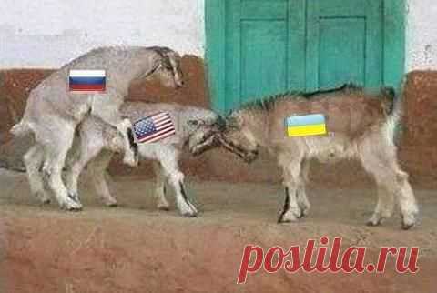 КАК ПОСТАВИТЬ НА МЕСТО США? | Актуальная тема!