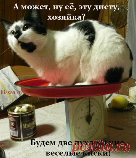 Интересные новости