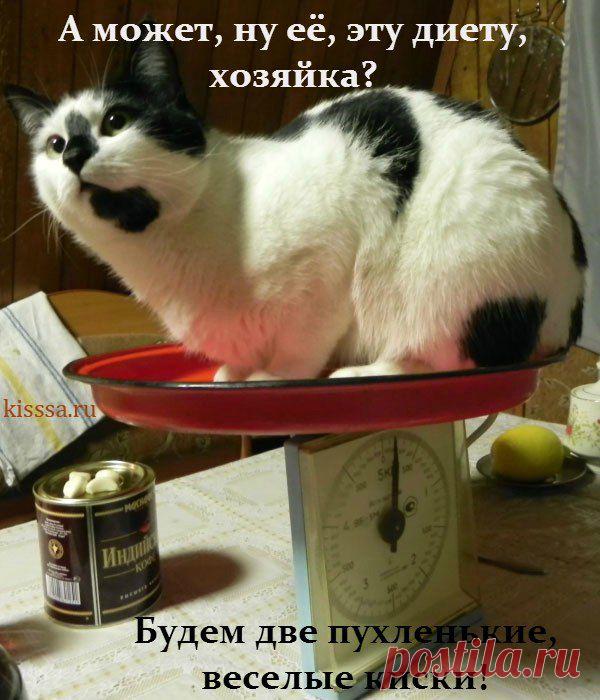 Интересные новости