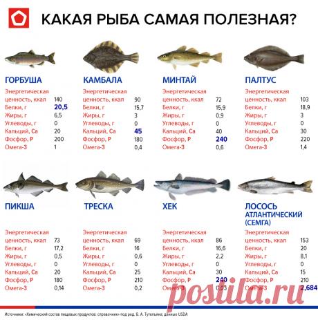 Рыба мечты: в этой недорогой рыбе больше всего фосфора | Эксперты объясняют от Роскачества