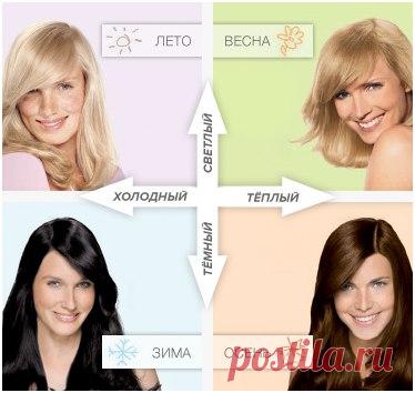 Квест-задание по определению цветотипов | Женские вебинары и конференции. Секреты мастеров