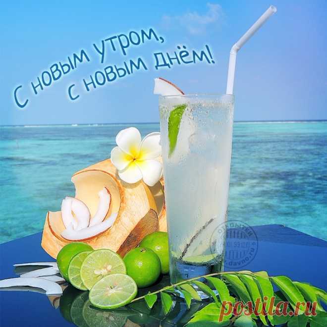 доброе утро уходящего года - Поиск в Google