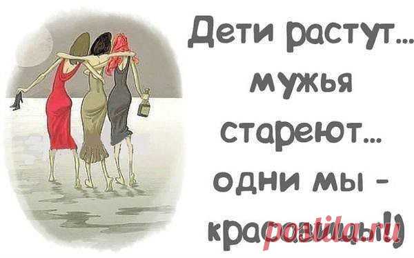 Дневник Зверобой
