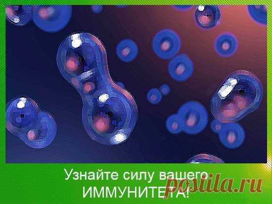 Проверьте силу иммунитета - быстрый тест | 45 арбузов
Насколько силен ваш ИММУНИТЕТ? Узнайте прямо сейчас, пройдя наш быстрый тест!