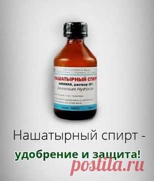 (72) Одноклассники
