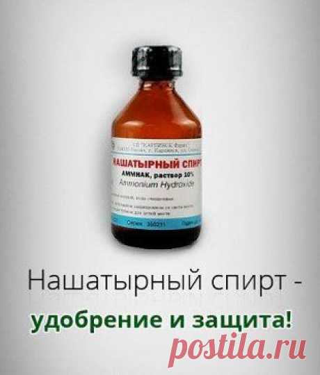 (72) Одноклассники