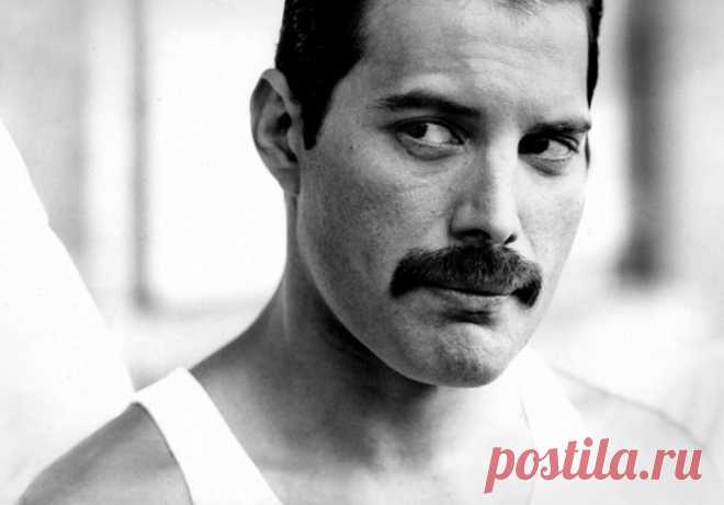 Каким на самом деле был вокалист Queen Фредди Меркьюри? Информация из первых уст: рассказывает Питер Хинс | MUSIC | Яндекс Дзен