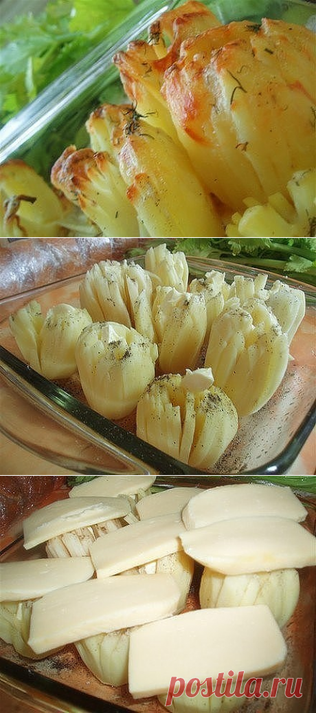 КАРТОФЕЛЬ ДОФИНЭ
