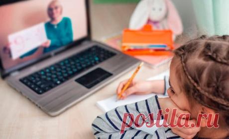 О дистанционном образовании и как его пережить | Семья и ребенок
