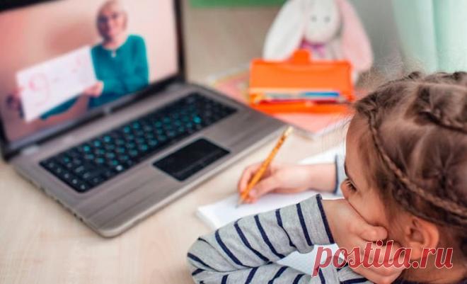 О дистанционном образовании и как его пережить | Семья и ребенок