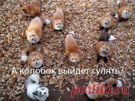 Прикольные картинки (67 фото) &amp;raquo;