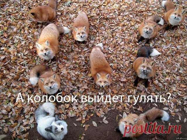 Прикольные картинки (67 фото) &raquo;