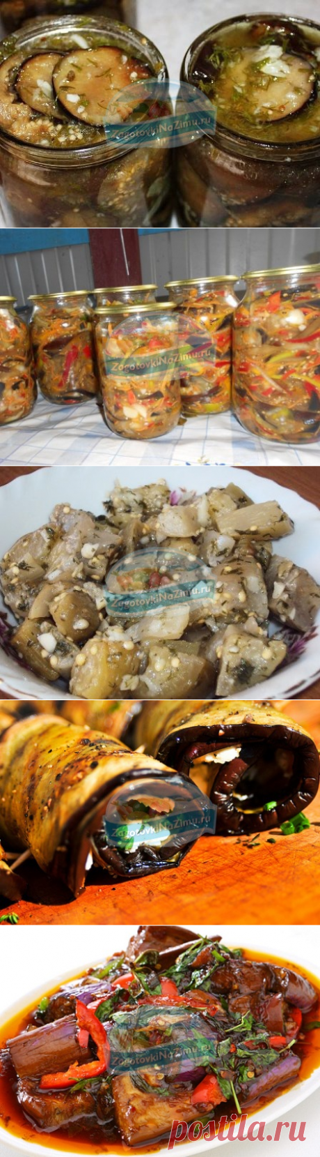Баклажаны на зиму быстро и вкусно: лучшие рецепты с фото