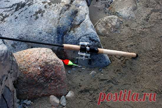 Рыбалка-это азарт и отдых | Охота и рыбалка