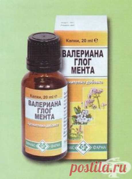 ТИНКТУРА МЕНТА ГЛОГ ВАЛЕРИАНА 50 мл. (TINCTURE PEPPERMINT HAWTHORN VALERIANA 50 ml.), цена и информация Комбинираният прием на валериана, глог и мента има широко установена практика, с доказан ефект за облекчаване на симптомите и като профилактика при нарушения в дейността на нервната, сърдечно-съдоват