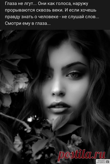 Позитив в картинках Огромная подборка и коллекция прикольных и ржачных картинок и фотографий.