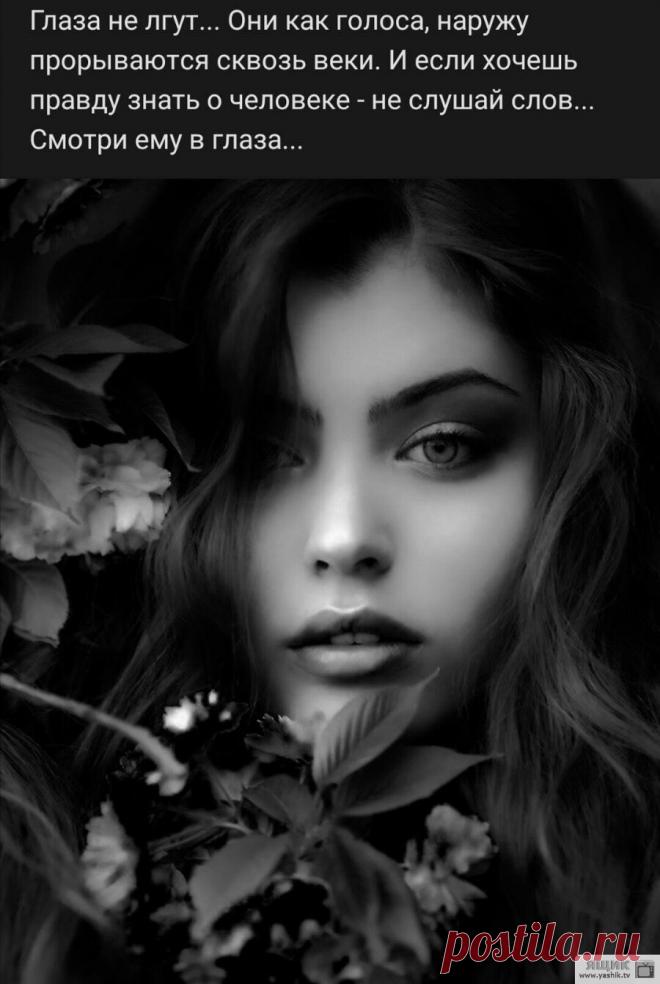 Позитив в картинках Огромная подборка и коллекция прикольных и ржачных картинок и фотографий.