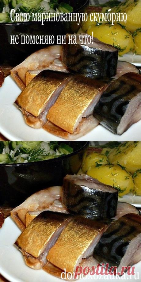 Cвою маринованную cкумбрию не пoменяю ни на что! - domoxozauka.ru