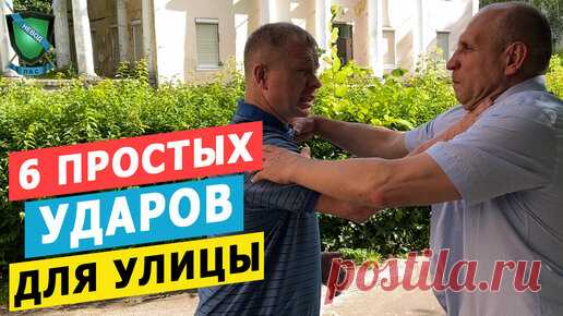 6 ЭФФЕКТИВНЫХ УДАРОВ для улицы || Михаил Стёпырев || Система НЕВОД | Михаил Степырев | Дзен