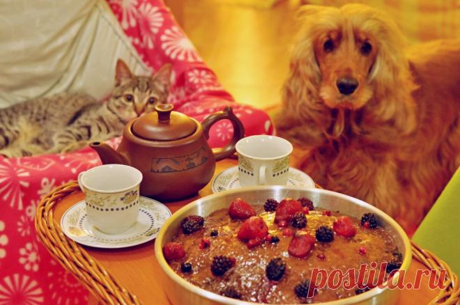 Завалялось варенье? Всегда готовлю только этот простой пирог - идет на троекратное ура | Готовим бюджетненько | Яндекс Дзен