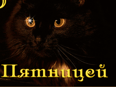 Надежда Самойлова - Google+