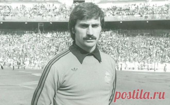 Умер один из лучших вратарей в истории «Реала». Бывшему вратарю сборной Испании Мигелю Анхелю было 77 лет. Он отыграл в составе «Реала» 18 сезонов, стал шестикратным чемпионом страны