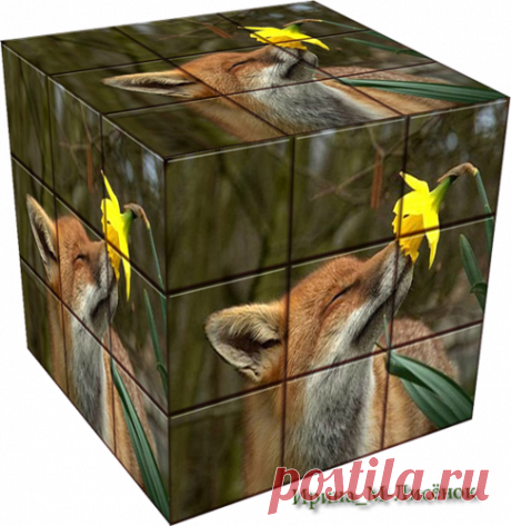 Ирина_М-Лисёнок