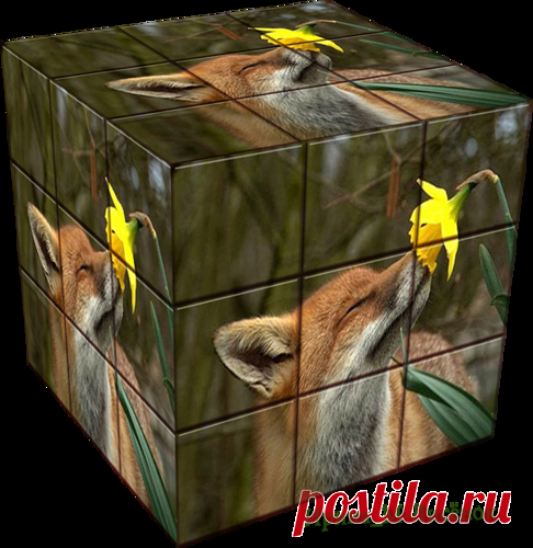Ирина_М-Лисёнок