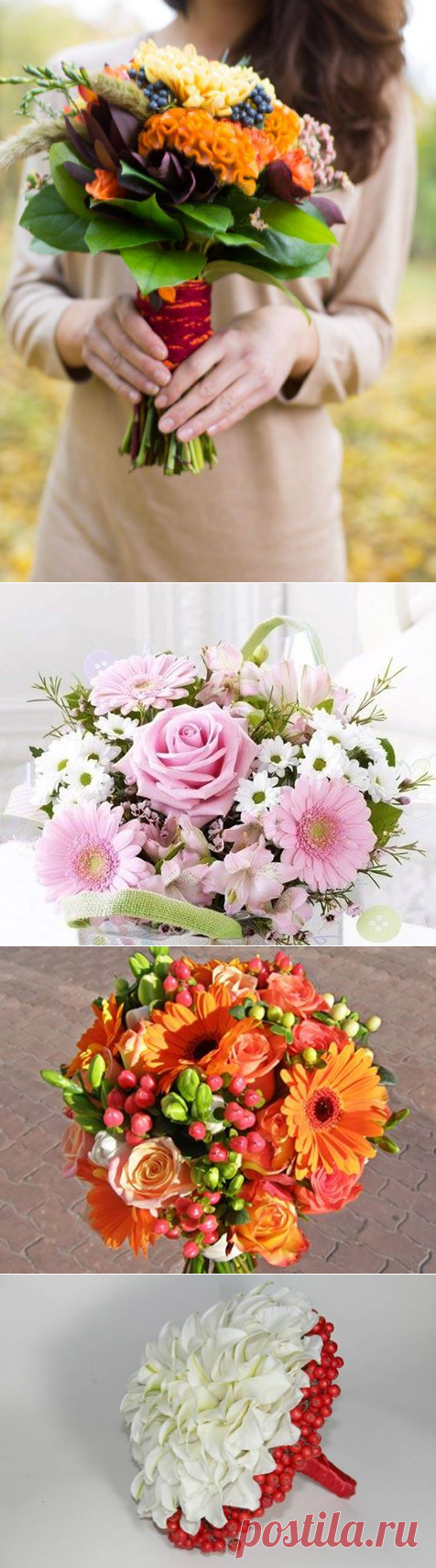 (5) Флористика України