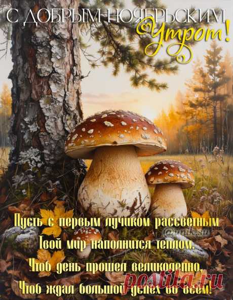 доброе утро картинки пожелания новые ноябрьские