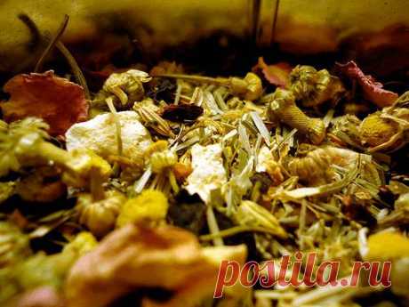 Состав "Монастырского чая" от гипертонии. "Монастырский чай": отзывы