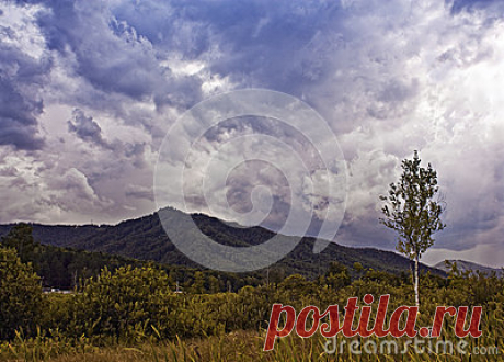 Stock Photos, Royalty-Free Images & Video Footage By Dreamstime Stock Photography