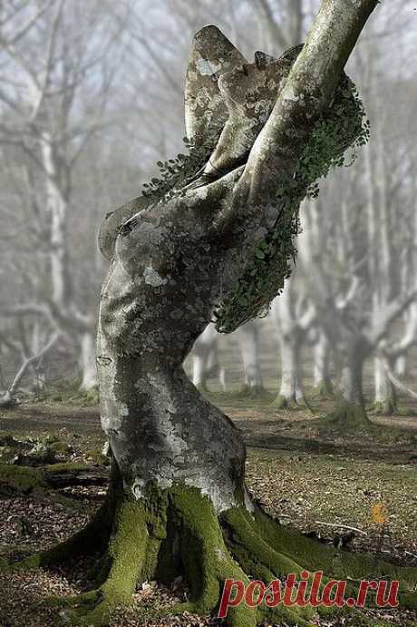 Found on flickr.com