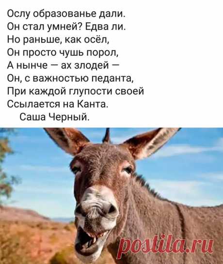 В МИРЕ ПОЗИТИВА