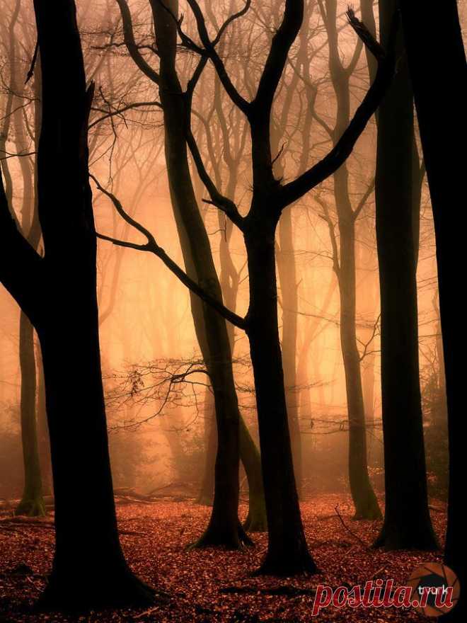Eden by tvurk | Tree & Path