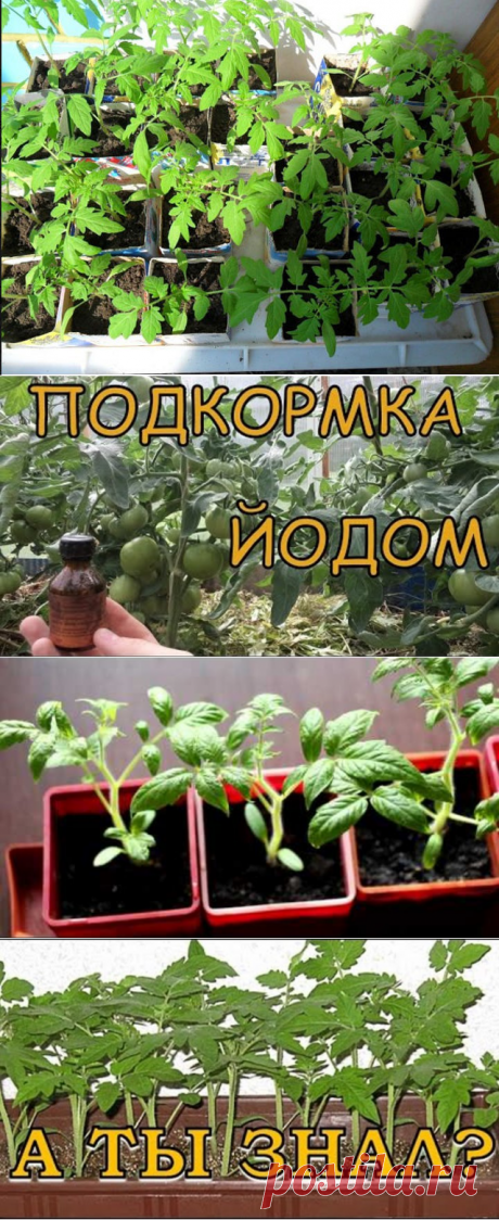 (57) Одноклассники