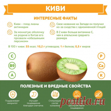 Киви интересные факты