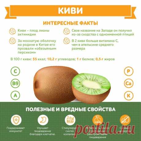 Киви интересные факты