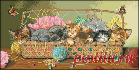 Котята в корзине - Кошки - Фауна - СХЕМЫ - ВЫШИВКА КРЕСТОМ