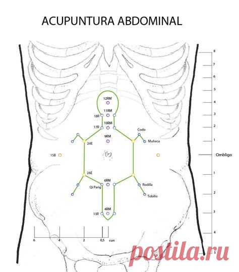 La acupuntura abdominal es un nuevo método de acupuntura desarrollado por el doctor Bo Zhi Yua
