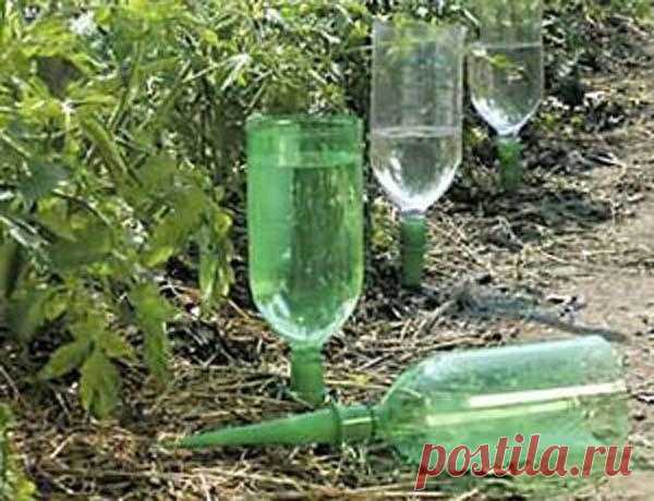 Пластиковая бутылка – незаменимая многофункциональная помощница на даче...